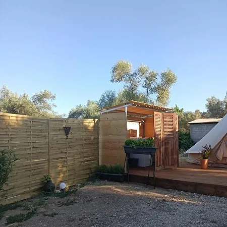 Meltheane * 리지아