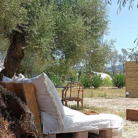 Meltheane * 리지아